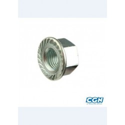 ECROU DE ROUE D10X100