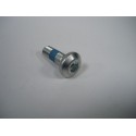 VIS FIXATION DISQUE OVETTO