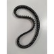 COURROIE TNT MOTOR DIXON 12" V2
