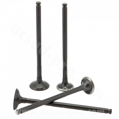 JEU DE SOUPAPES SKYCRUISER - XMAX 125cc