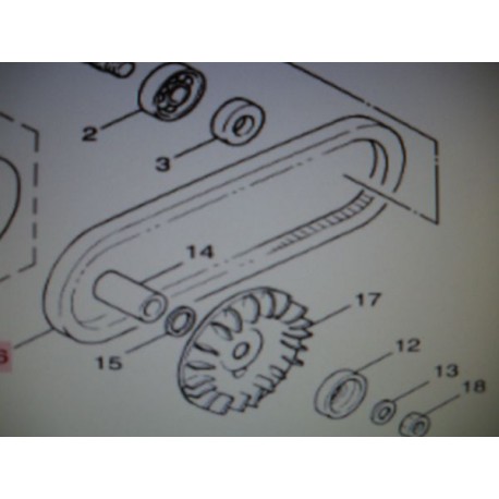 COURROIE ORIGINE WAAP 125cc