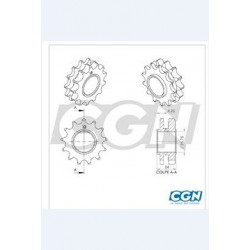 PIGNON 13DTS ADAPTABLE CYCLO