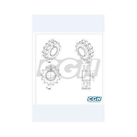 PIGNON 13DTS ADAPTABLE CYCLO